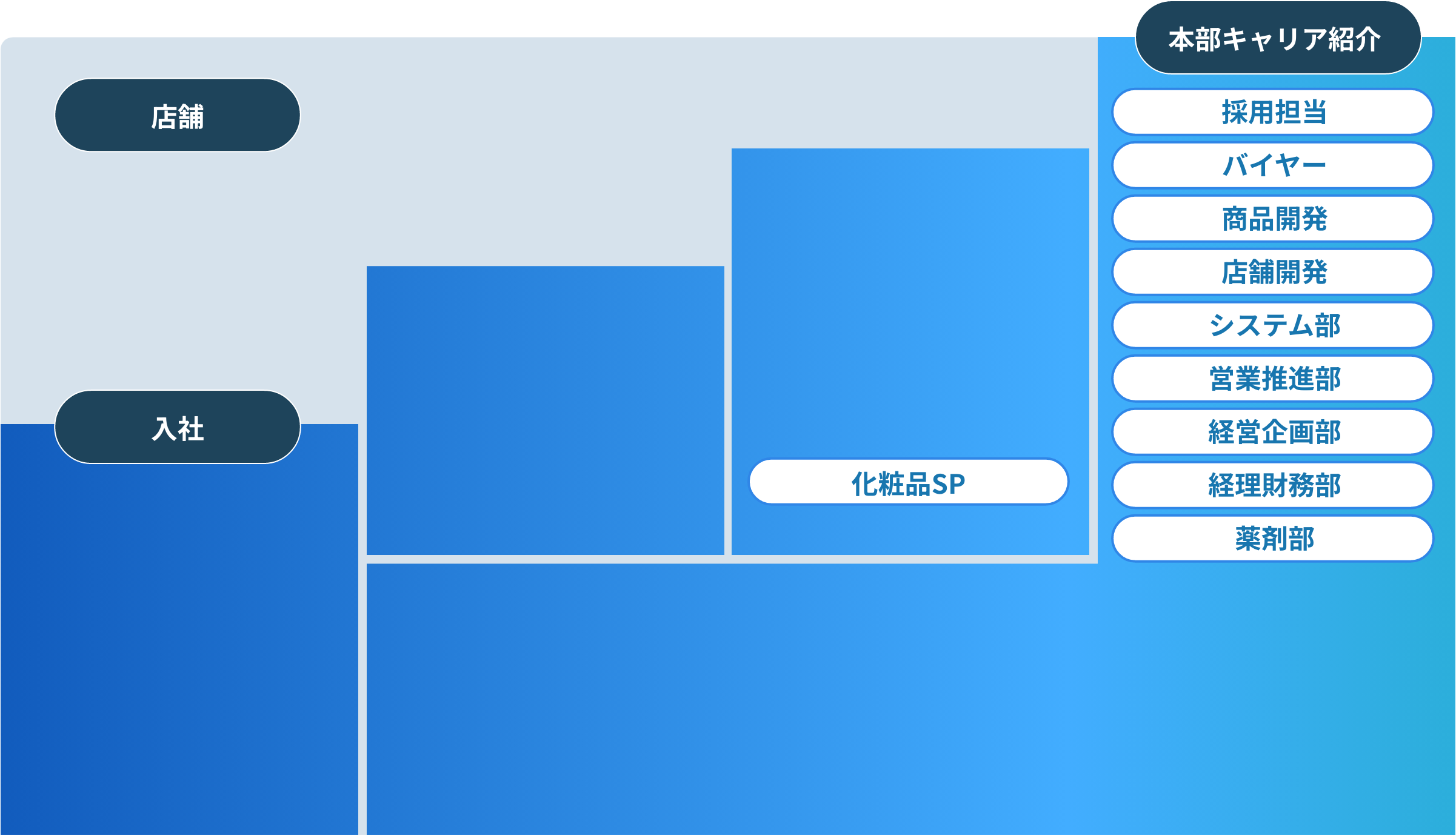 総合職のキャリアモデル