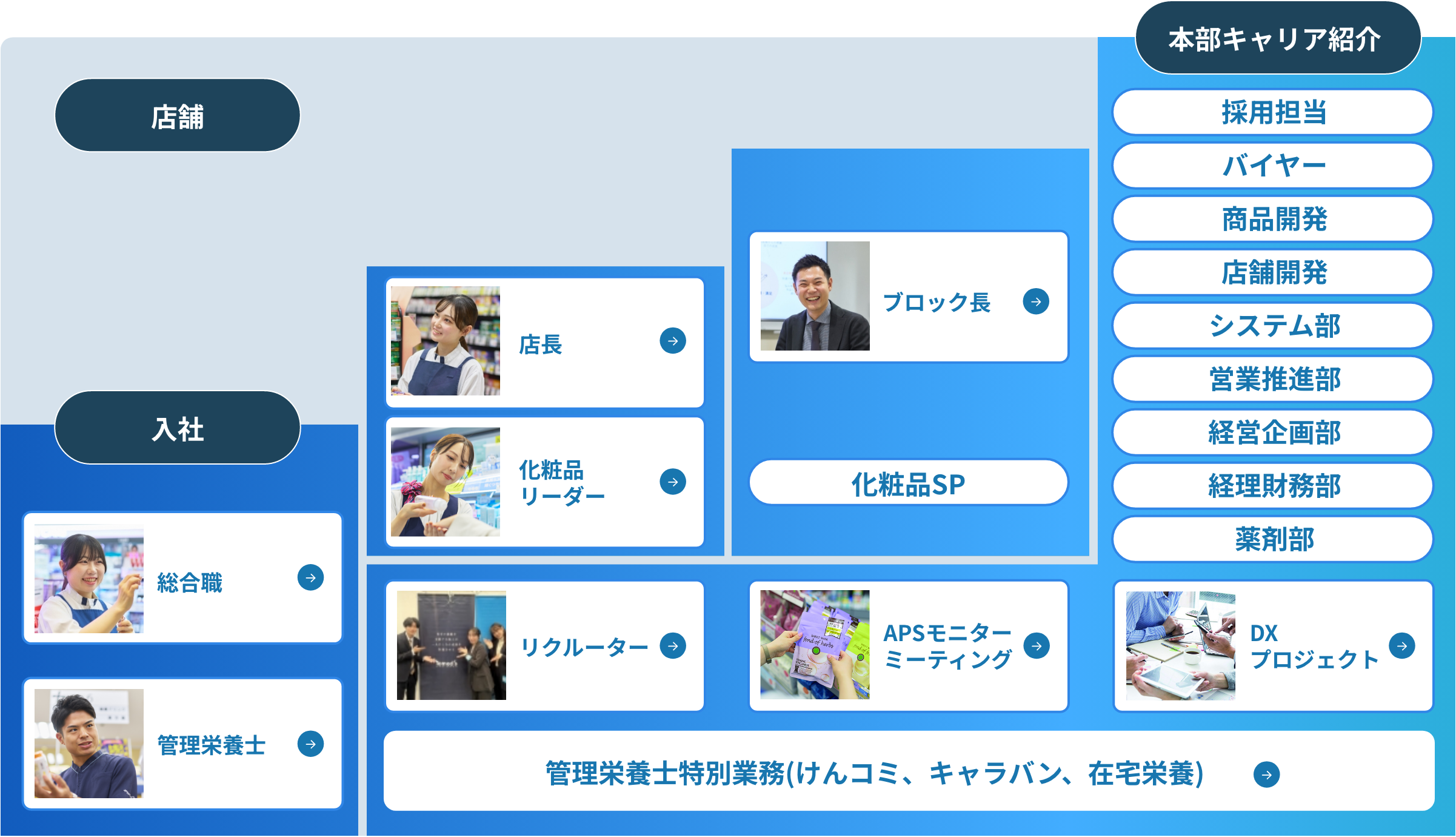 総合職のキャリアモデル