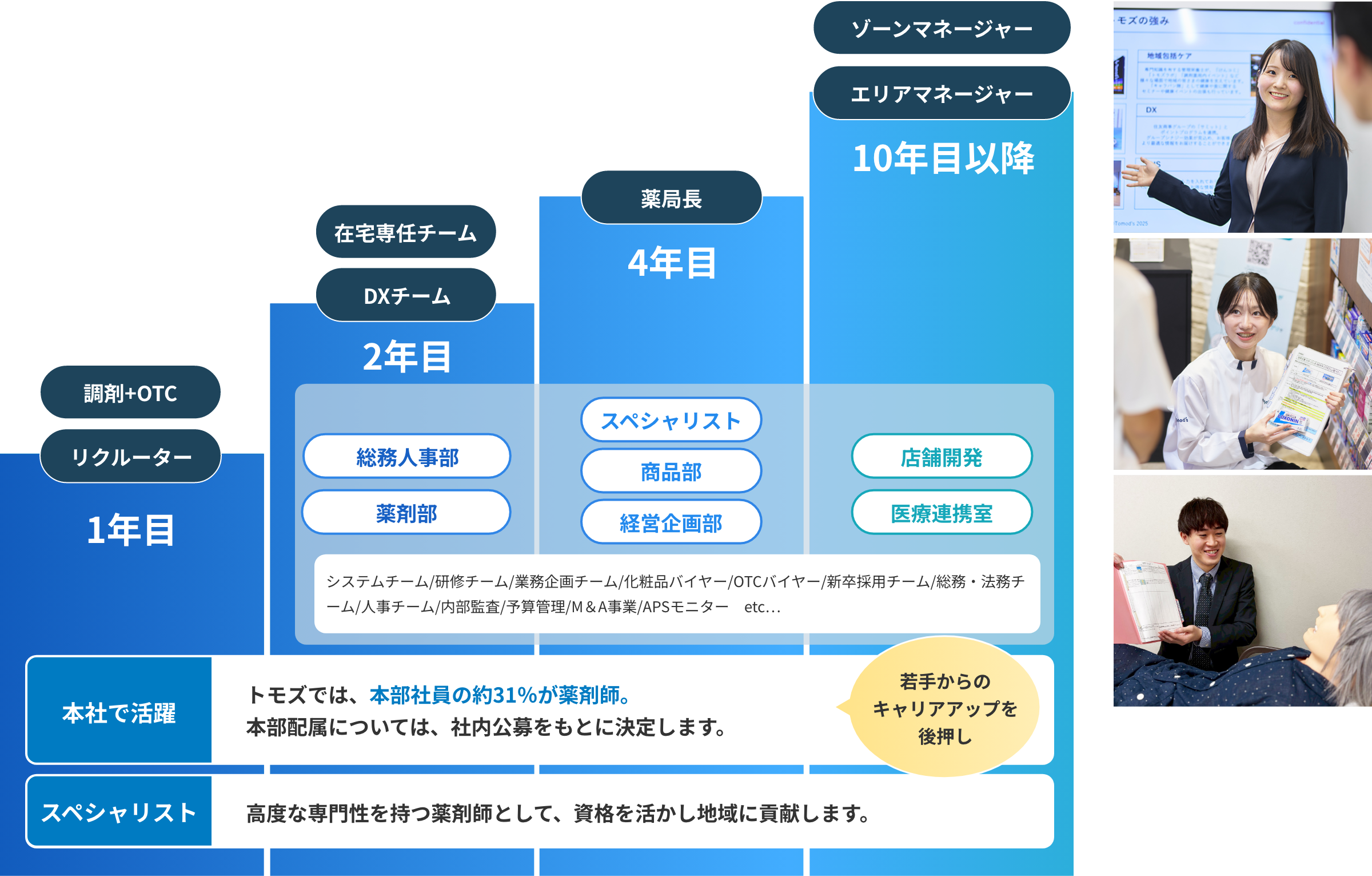 薬剤師職のキャリアモデル